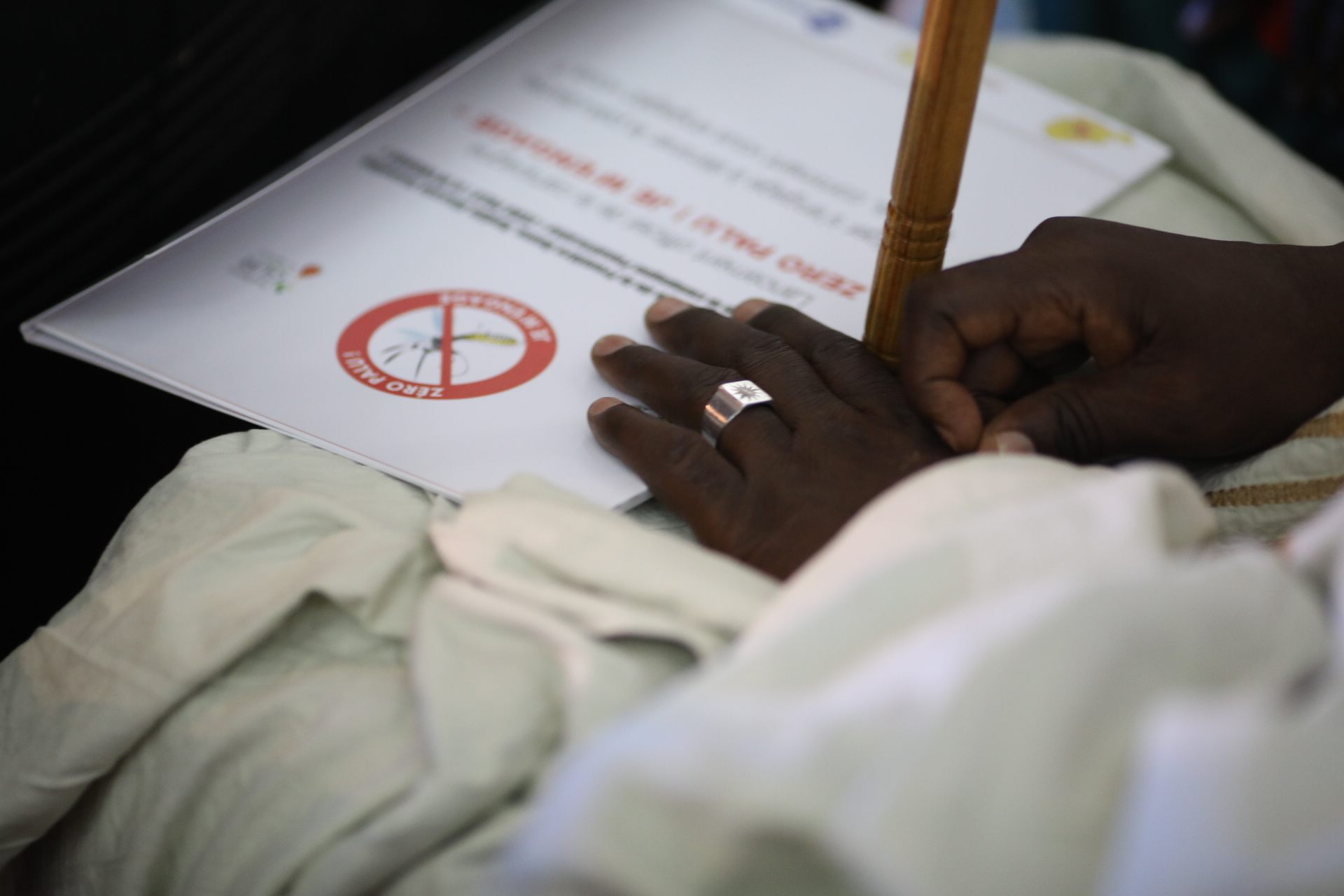 Le Niger s’engage à éliminer le paludisme avec l’aide de Son Excellence Aïssata Issoufou