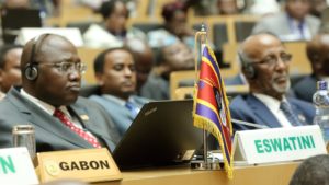 Africa’s leaders recommit to increase domestic resources to eliminate Malaria by 2030